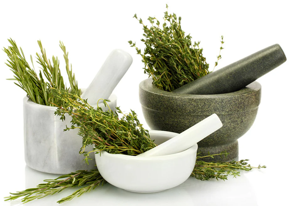 Herbal Extracts – Standardized Botanical Ingredients for Health Applications