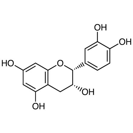 Epicatechin: Natural Support for Muscle Growth & Recovery