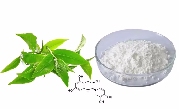 Epicatechin extract powder from cocoa and green tea – natural antioxidant for heart and brain health