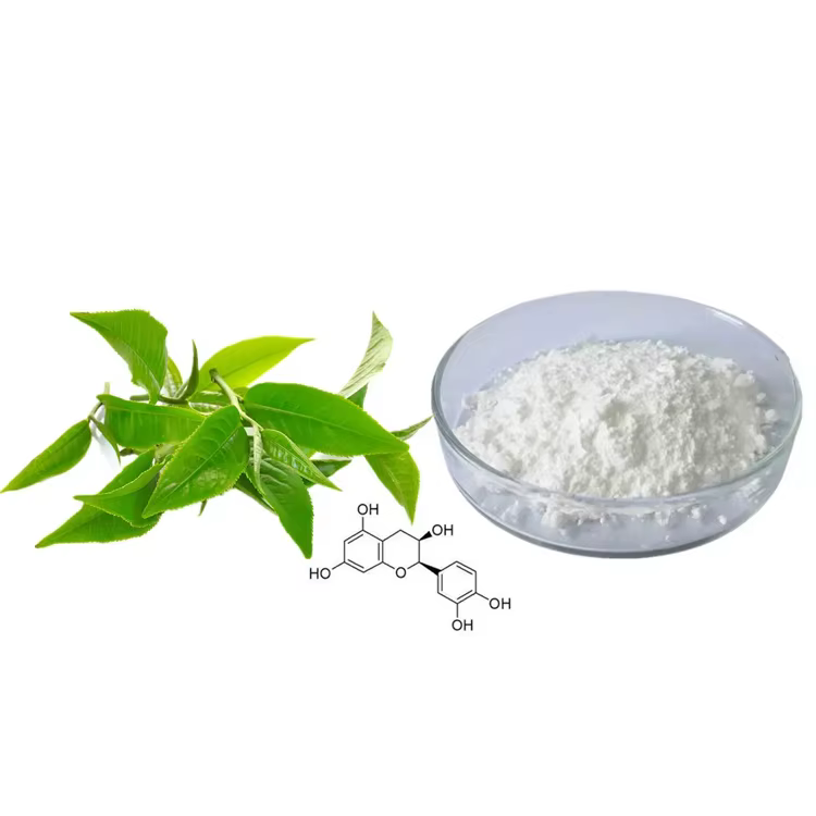 Epicatechin Extract: Nature’s Powerful Antioxidant for Heart, Brain, and Performance