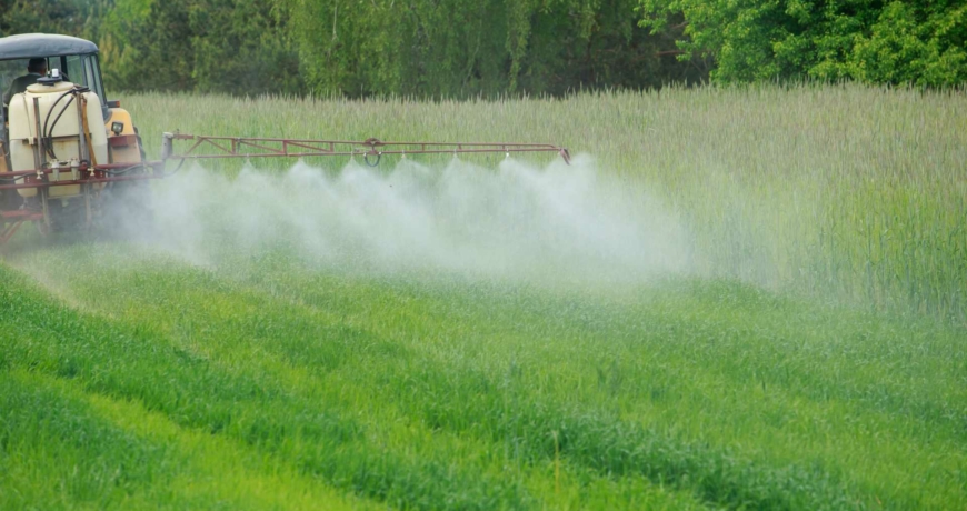 Sustainable farming with Karanjin botanical pesticide in organic agriculture.