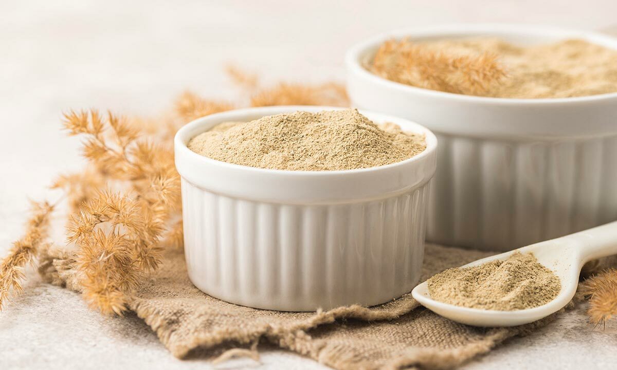 Psyllium Husk Powder: Uses, Benefits & Sourcing for Herbal Formulations