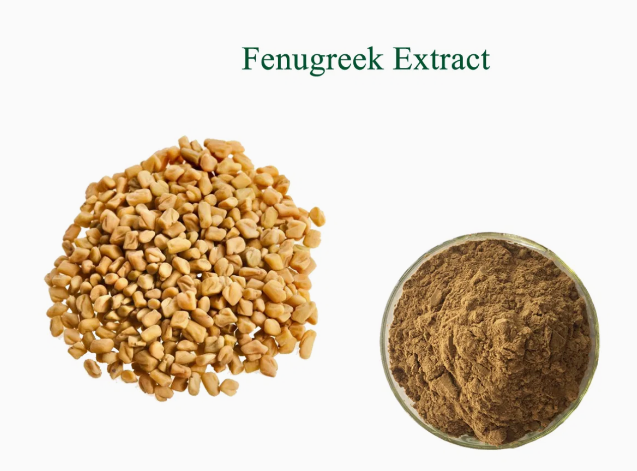 Gymnema vs Fenugreek: Which Herb Supports Better Blood Sugar Balance?