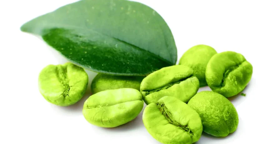 Green Coffee Bean Extract supplier NZ