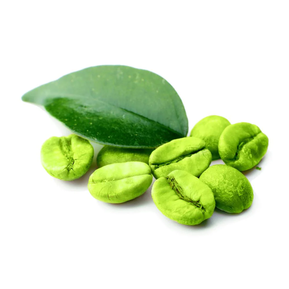 🌿 Green Coffee Bean Extract in New Zealand: Benefits, Applications & Quality Specifications